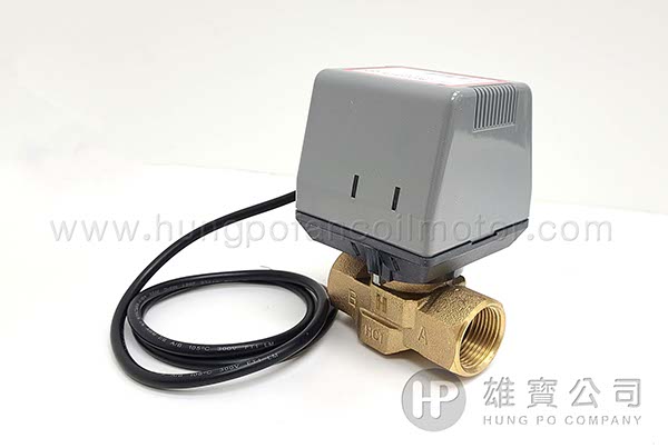 Hung Po Company 雄寶公司